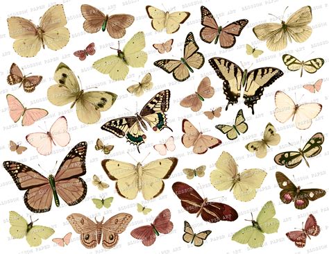 Colorful Designs And Printables Printable Scrapbook Paper