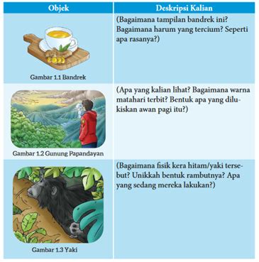 Coba Tulislah Deskripsi Gambar Gambar Di Bawah Ini Berdiskusilah