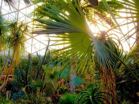 Botanical Gardens Milwaukee Domes - Beautiful Insanity