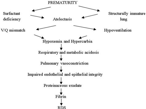 Table 2 From Prevention Of Neonatal Respiratory Distress Syndrome Semantic Scholar