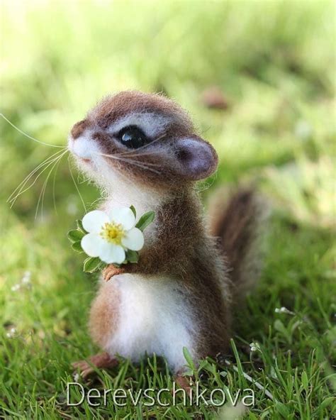 Cute Little Animals – Telegraph