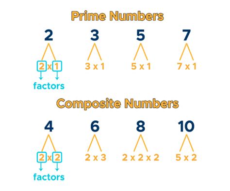 Prime Numbers Factorization Factor Tree Curvebreakers