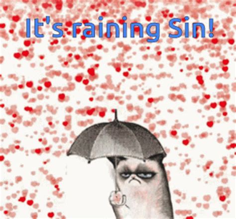 Raining GIF - Raining - Discover & Share GIFs