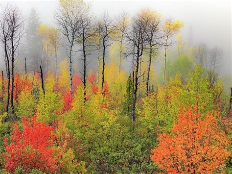 Autumn Shades Idaho By Leland D Howard Landscape Photography