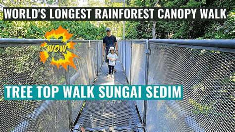 The Tree Top Walk Sungai Sedim Kulim Kedah YouTube