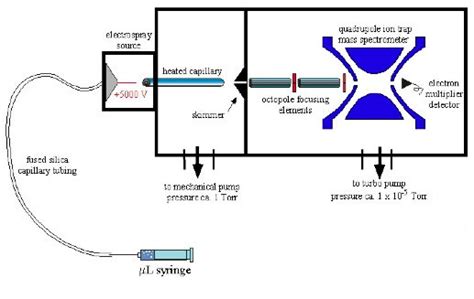 2-ESI Ion Trap Mass Spectrometer 10 | Download Scientific Diagram