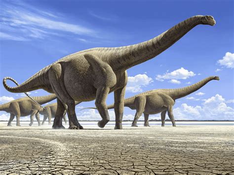 Фото самого большого динозавра в мире: Самые большие хищные динозавры в ...