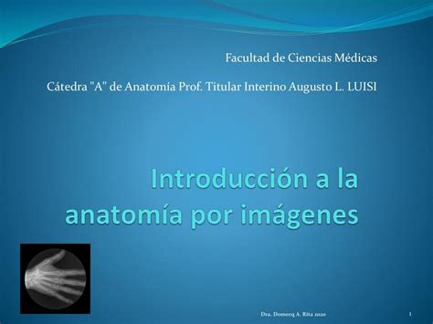 Introducción a la Anatomía por Imágenes Abner Reyes uDocz