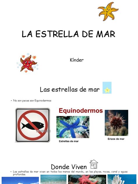 Disertación La Estrella De Mar Pdf