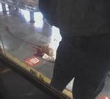 Muere Mujer En Metro Portales Se Asom Para Ver Si Ven A El Tren La