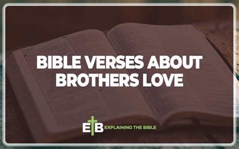 30 Bible Verses About Brothers Love Explained Explaining The Bible