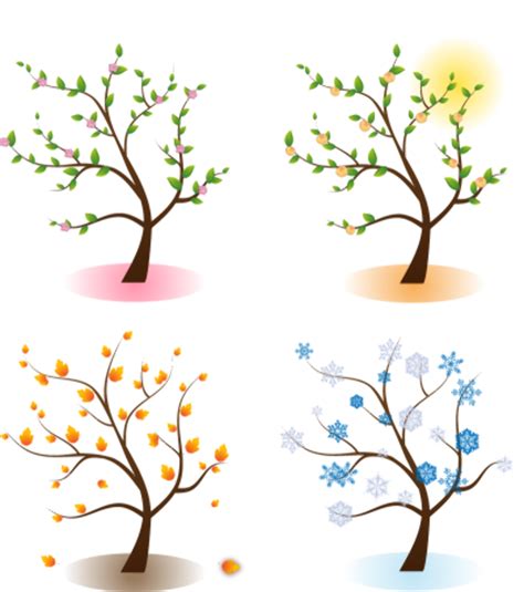 Download High Quality Tree Clipart Four Seasons Transparent Png Images