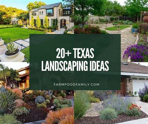 20+ Best Texas Backyard Landscaping Ideas & Designs (With Pictures ...