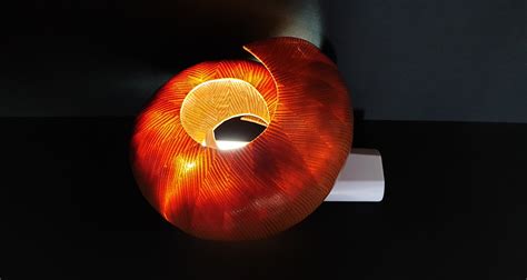 Nautilus 1