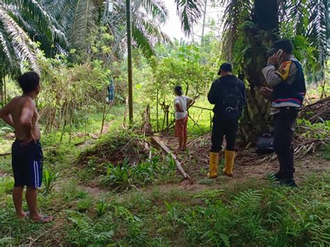 Seorang Pria Ditemukan Tewas Gantung Diri Di Tiang Tower Sutet Milik