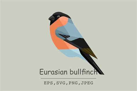 Eurasian Bullfinch Bird Vector Jpeg Graphic By Tanatveeartworks