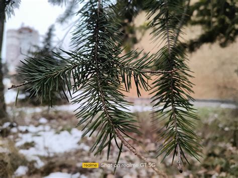 Realme GT 5G. Най-висок клас, за най-малко пари - 359gsm - Порталът за ...