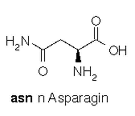 asparagine (non-essential amino acid) Goddess Diet Plan