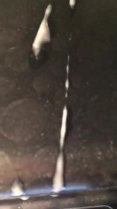 Saskia Tribute Gay Man Man Porn XHamster