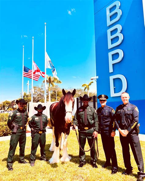 PBSO - Palm... - PBSO - Palm Beach County Sheriff's Office