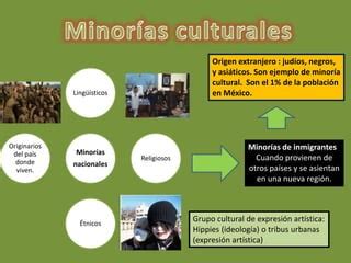 Minorias Culturales PPT