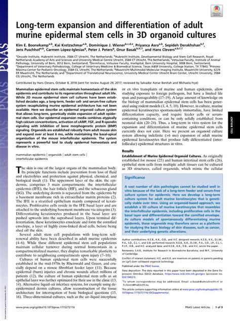 Long Term Expansion And Differentiation Of Adult Murine Epidermal Stem