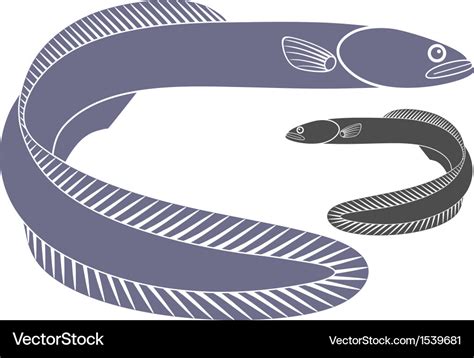 Eel Royalty Free Vector Image Vectorstock