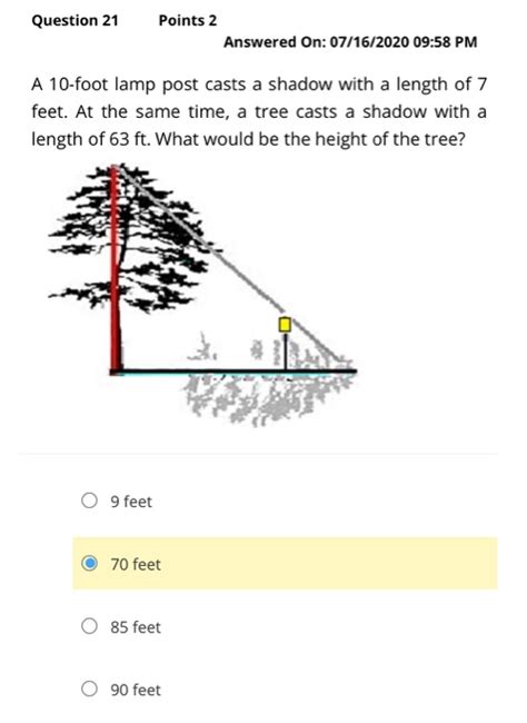 A Foot Tree Casts A Shadow Feet The Sine Of The Angle Off