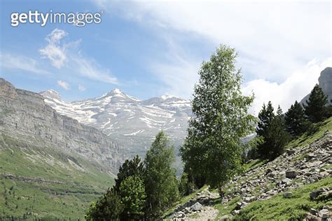 A Landscape Of The Monte Perdido Massif With A Pine And Firs Forest