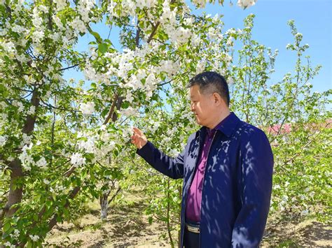 中国农业大学植物保护学院 新闻动态 【师德故事】王琦教授：奋战在乡村振兴第一线的“植物医生”