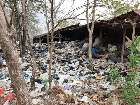 Tpa Piyungan Ditutup Hari Kabupaten Dan Kota Harus Kelola Sampah