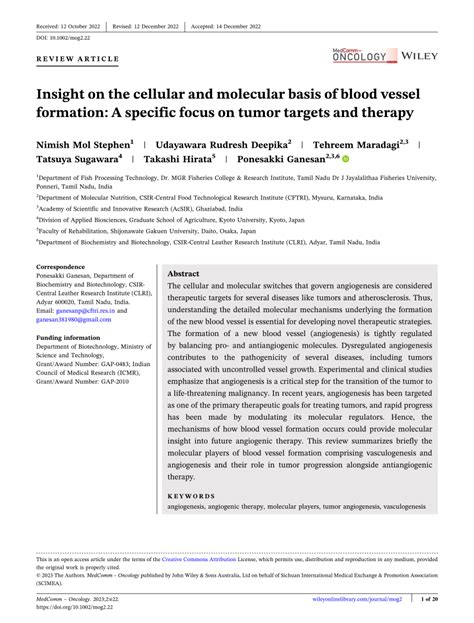 PDF Insight On The Cellular And Molecular Basis Of Blood Vessel