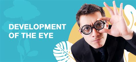 Development of the eye - Learn about Children's Eye Development