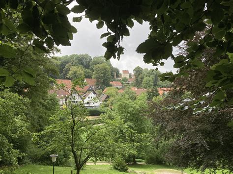 Viele Wandelten Auf Den Spuren Otto Modersohns In Tecklenburg