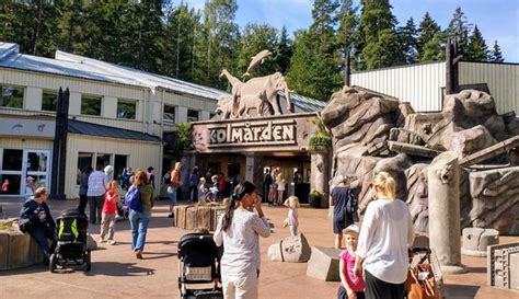 Kolmårdens Djurpark Kolmården Sverige Omdömen