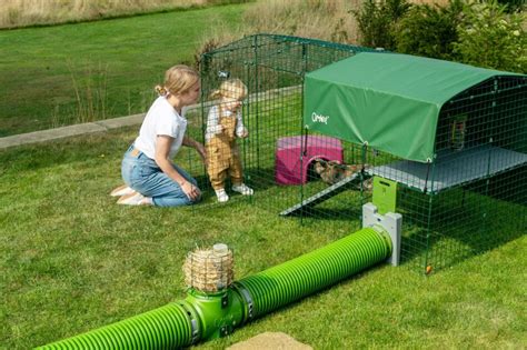 Are Rabbits Good Pets For Children Omlet Blog Us