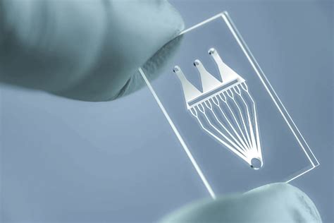 Microfluidics Transforming Research And Industry Blog 3d Ag