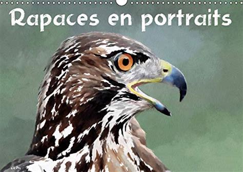 Buy Rapaces en portraits 2019 Série de 12 tableaux créations