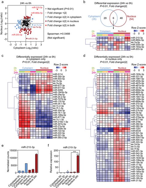 Differential Expression Of Nuclear And Cytoplasmic Mirnas Upon Hypoxic