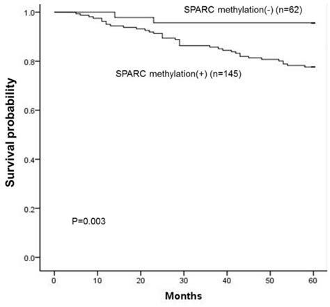 Hypermethylation Of The Sparc Promoter And Its Prognostic Value For