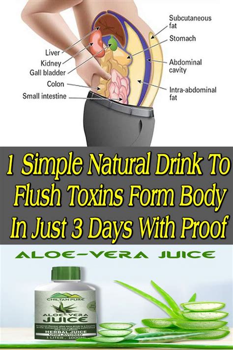 Natural Way To Flushes Our Toxins From The Body Fast Without Side