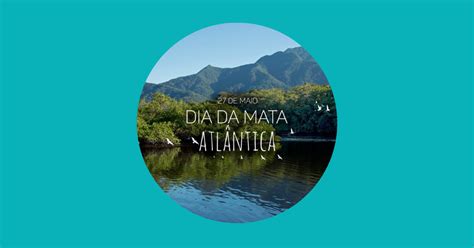 Dia da Mata Atlântica é comemorado hoje 27 LondrinaTur portal de