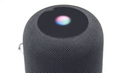 Apple HomePod — смарт-колонка с Siri и системой оценки помещения (15 ...