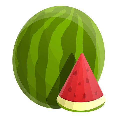 Premium Vector Watermelon Icon Cartoon Of Watermelon Vector Icon For