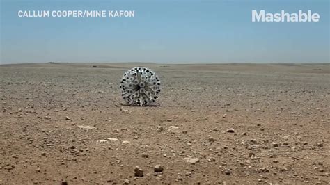 A Life Saving Land Mine Detonator That Resembles A Giant Tumbleweed