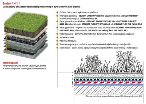 Dach Zielony To Po Czenie Pi Knego Z Praktycznym