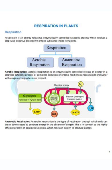 Cbse Class Biology Respiration In Plants Notes