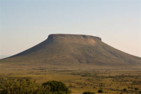 addo national park animal list 4