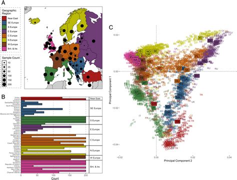 Large European Ethnicities Map