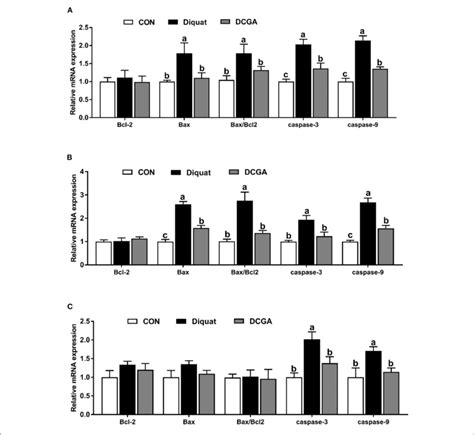 Effects Of CGA On Expression Levels Of Intestinal Barrier Related